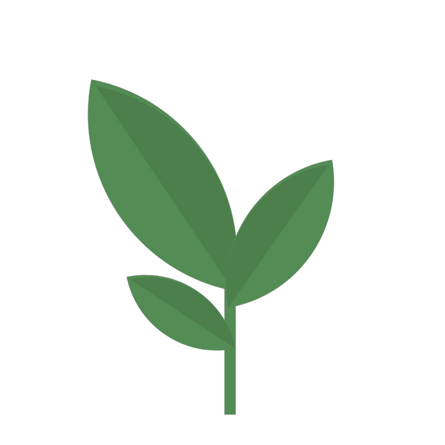 Leafscan preview 4