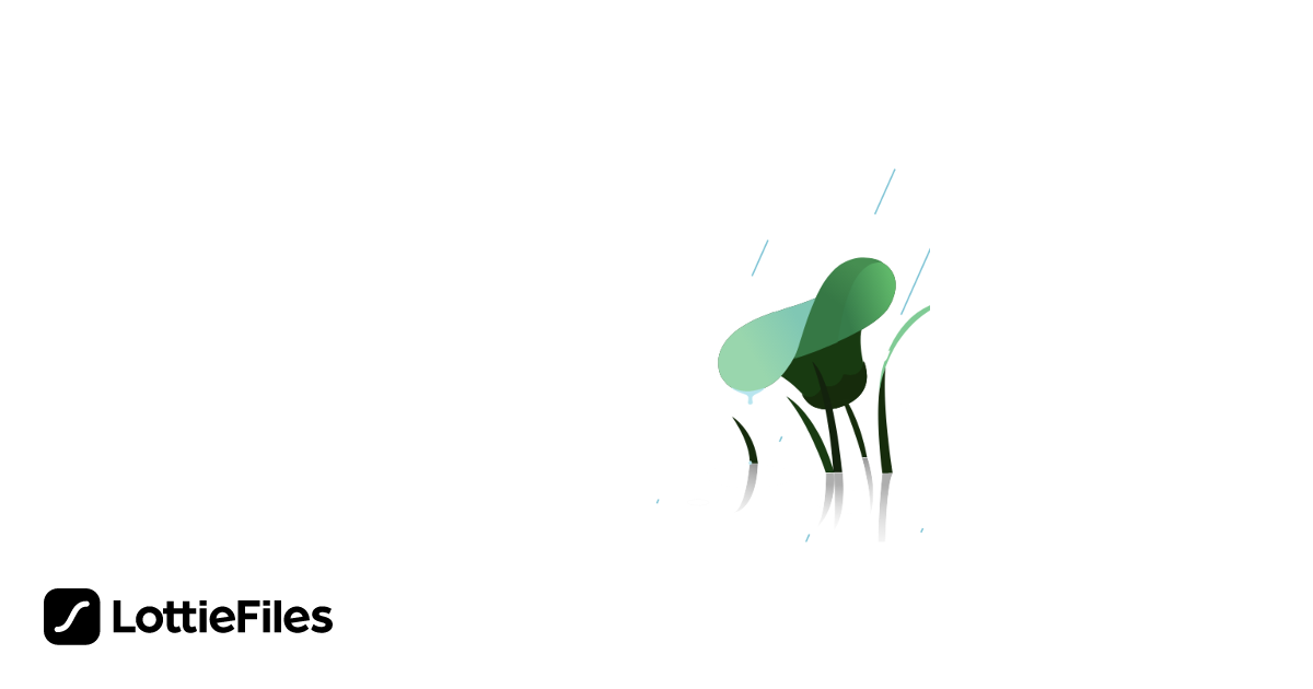 Free Rain Animation by Bùi FONT Vietnameseization | LottieFiles