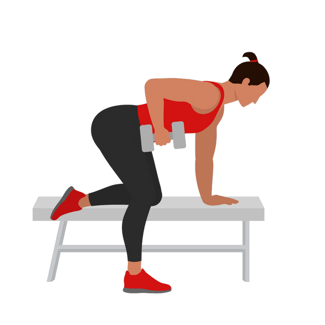 Bench One Arm Dumbbell Row Exercise for Back