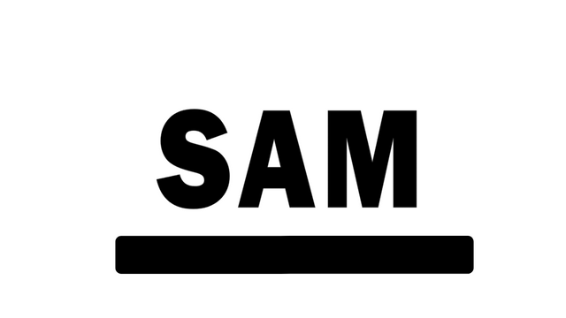 Sam Hardy logo