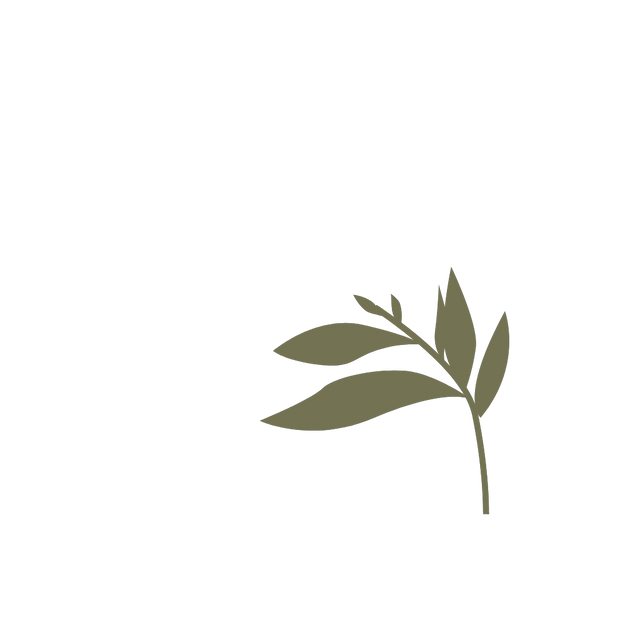 Growing leaves