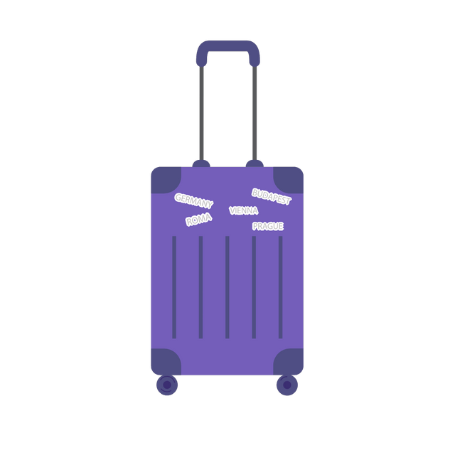 Travel bag icon animation