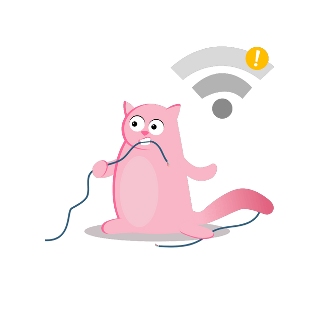 No Internet
