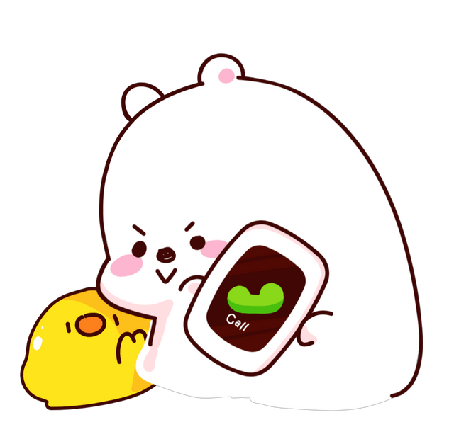 Cute bear character cartoon