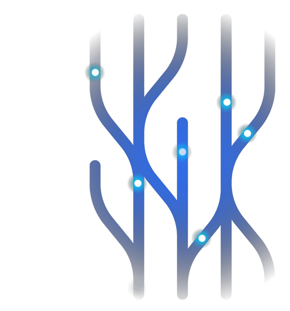 Export
