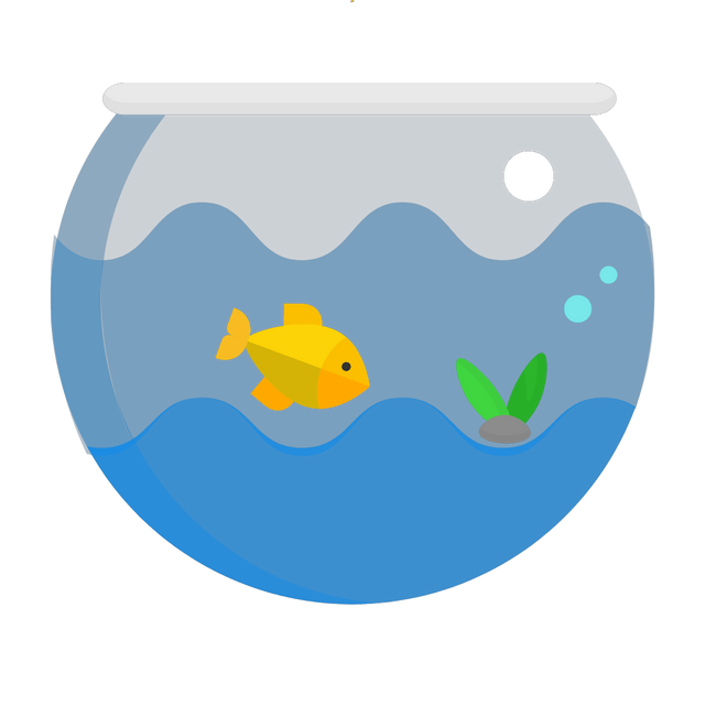 Fish on water