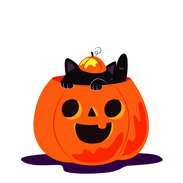 Halloween Pumpkin Black Cat