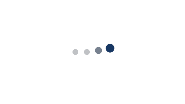 loading motion preview 2