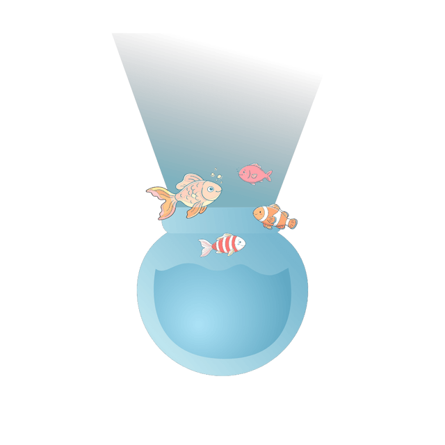 Fish in the glass