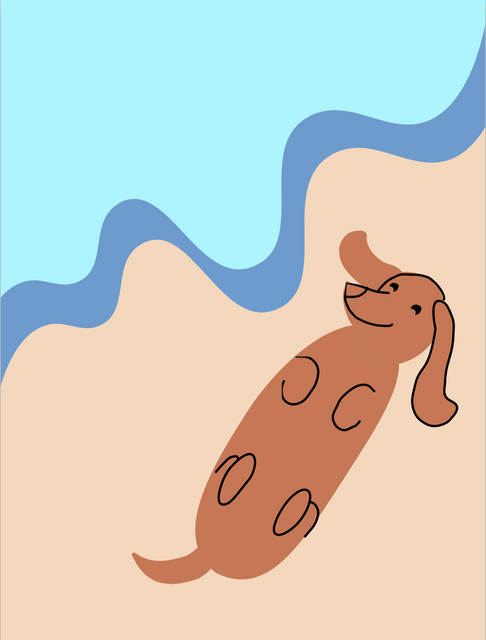 Perro Salchicha Animation