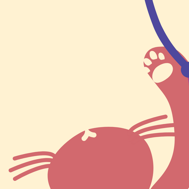 Cat Animation