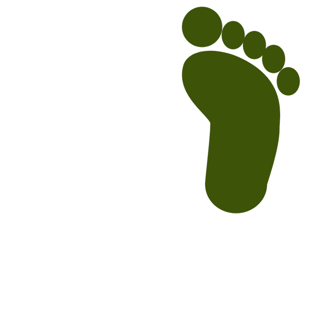 Footprint Animation