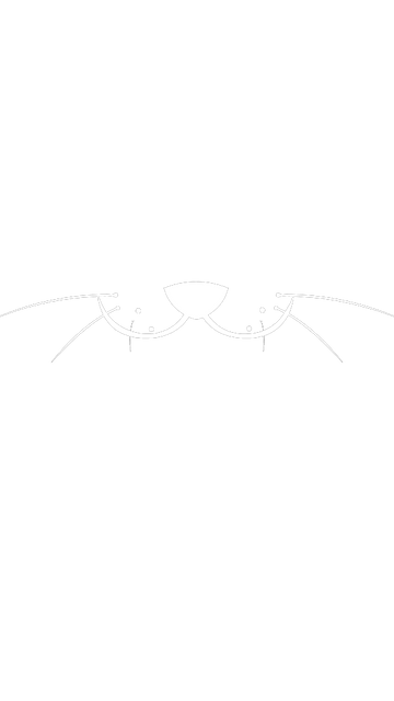 Cat face logo Lottie JSON animation