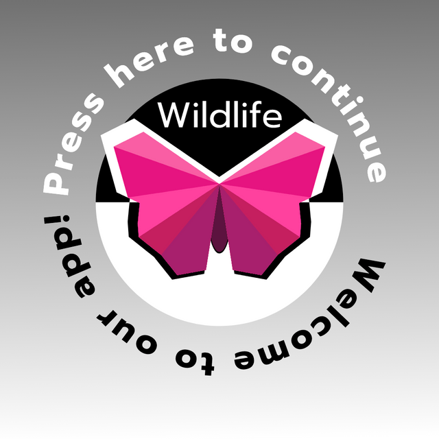 A butterfly app logo with a circular text
