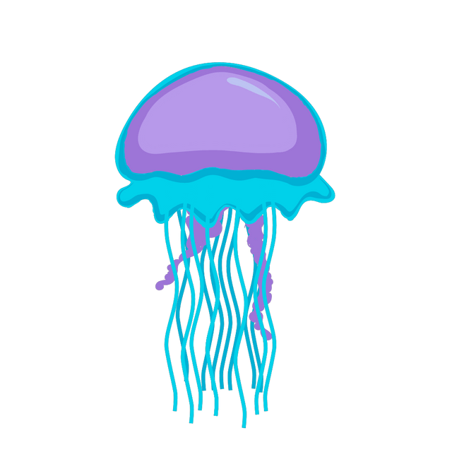 Jellyfish
