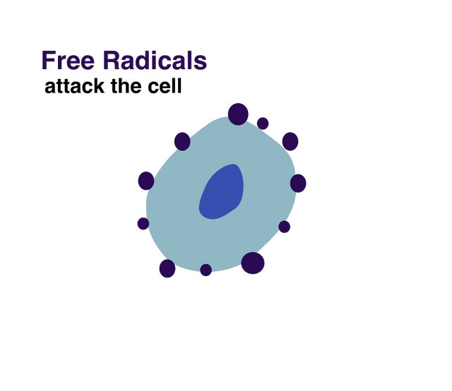 Free Radicals causing Cell Death