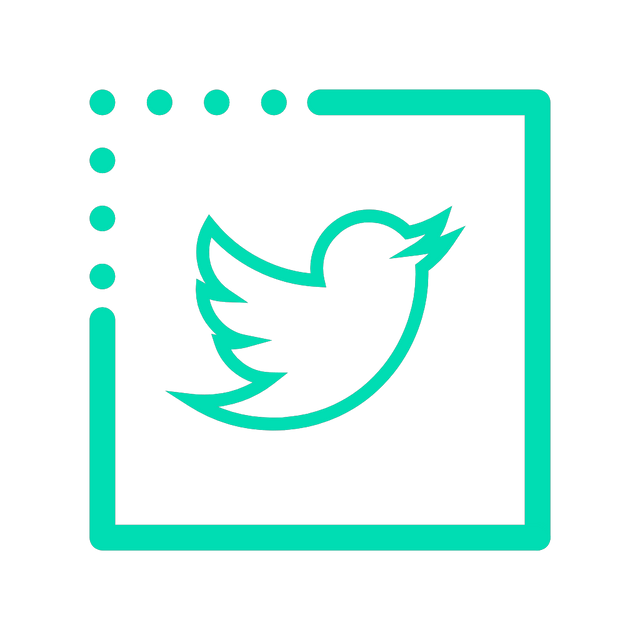 Twitter icon Lottie JSON animation