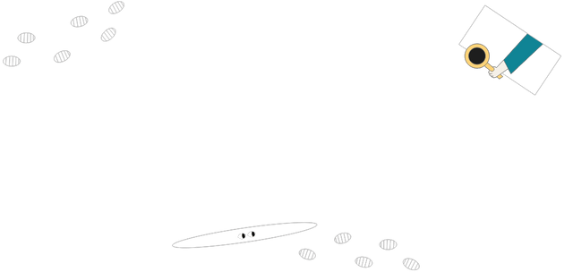 Career Lottie JSON animation