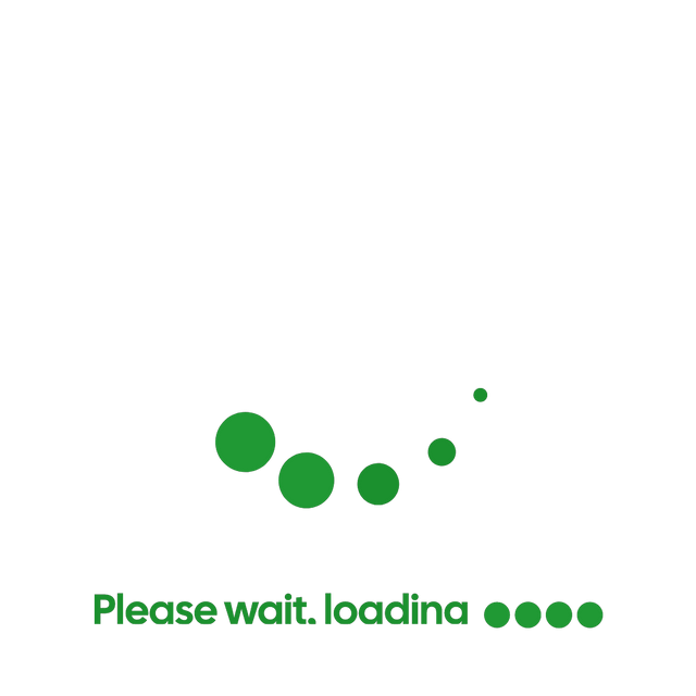 Loading Animation