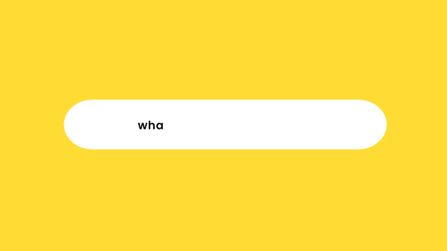 search bar animation