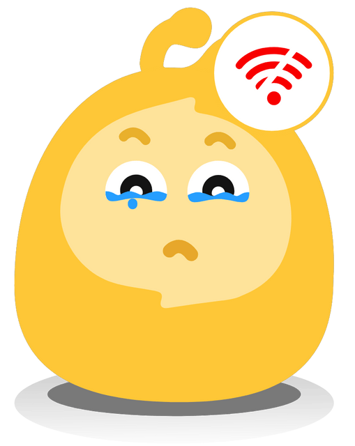 No Internet