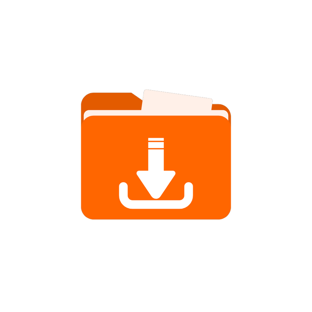 video downloader