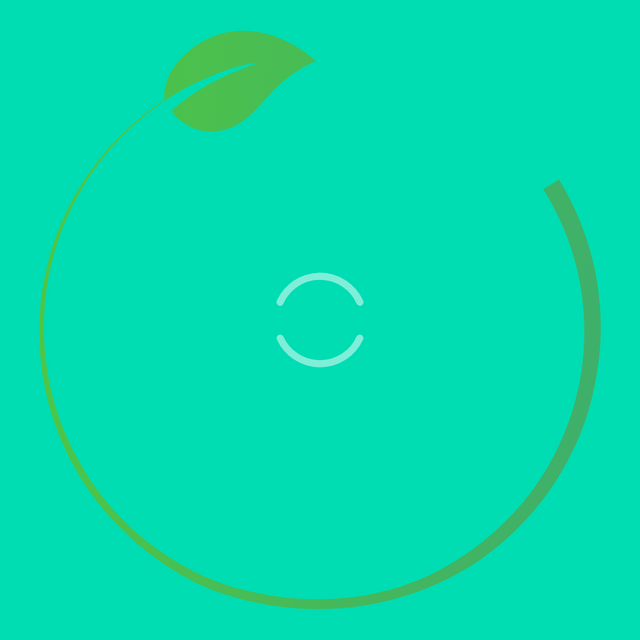 Green check mark Lottie JSON animation