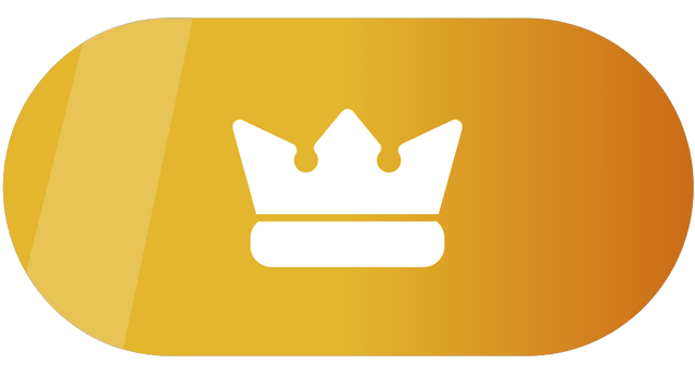 premium animation
