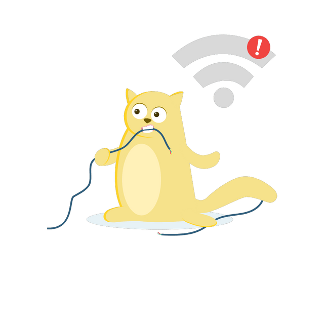 No Connection
