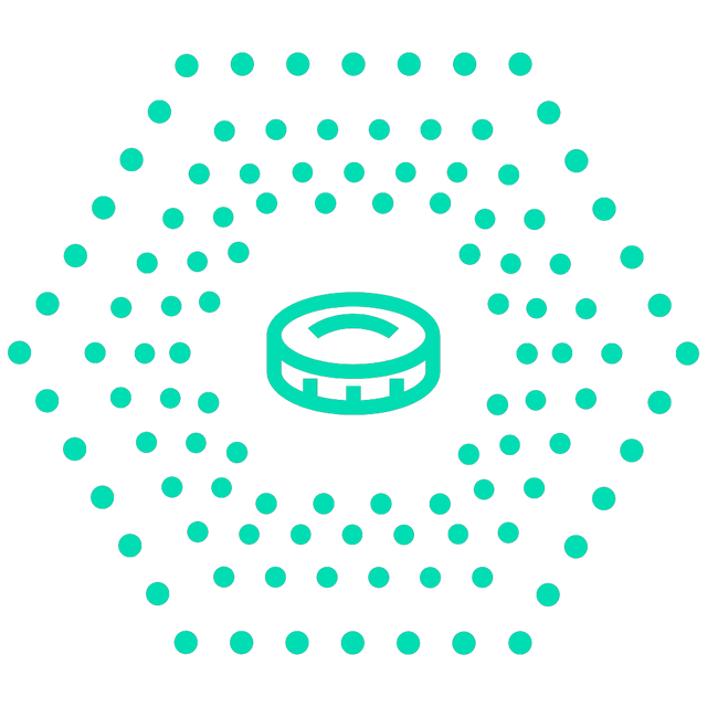 Coin icon Lottie JSON animation