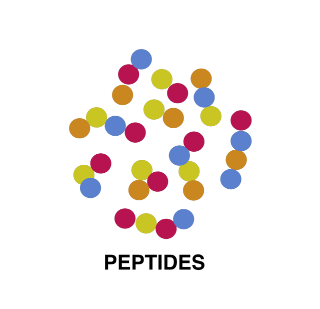 Aminoacids to protein