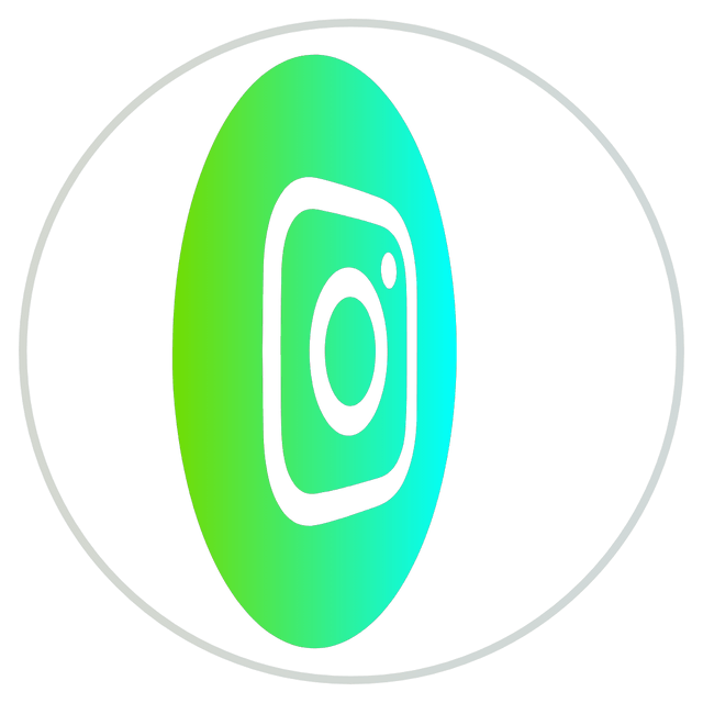 Instagram gradient color 3D icon rotation Lottie JSON animation