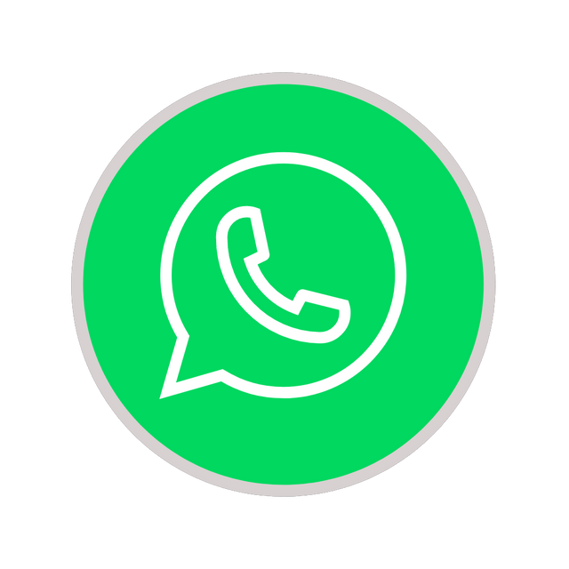 Whatsapp icon animation