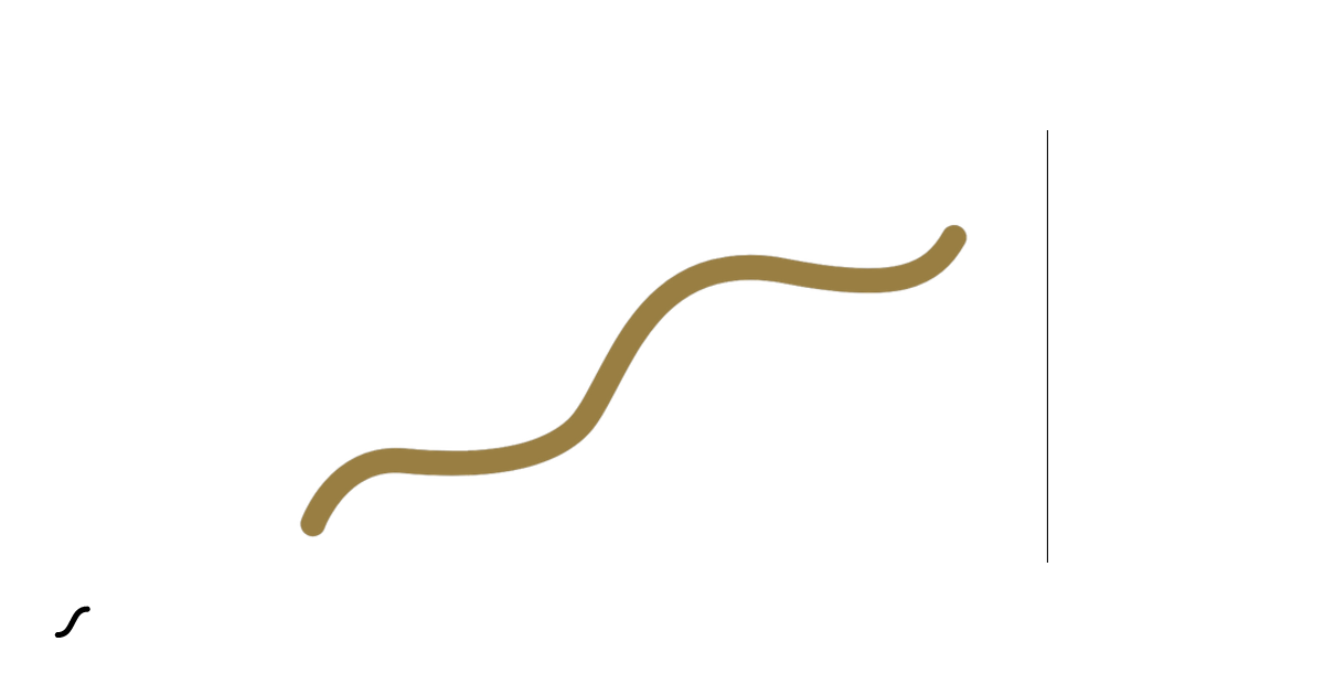 Free line animation Animation by Arjan | LottieFiles