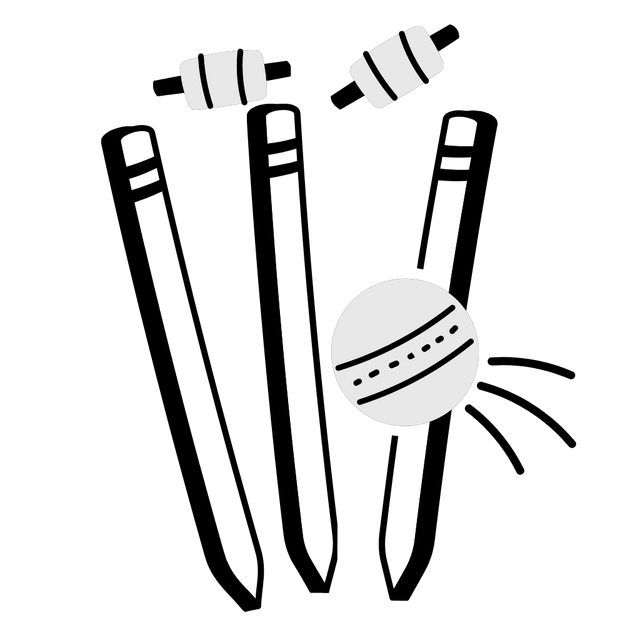 Wickets Hit Animation