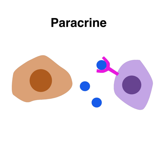 Cytokines act in 3 ways