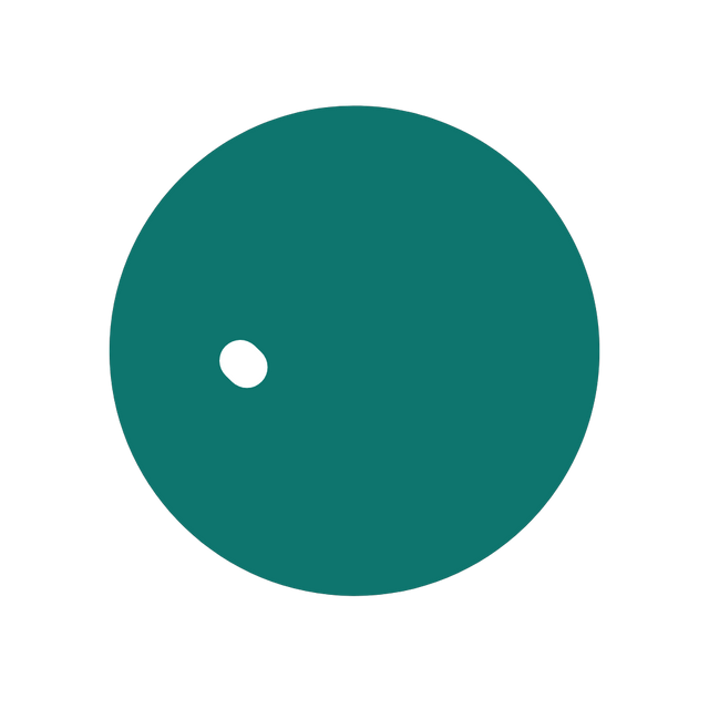 Success Check Animation
