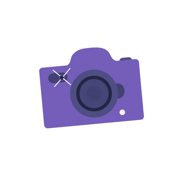 Photography Camera Animation | Lottie JSON