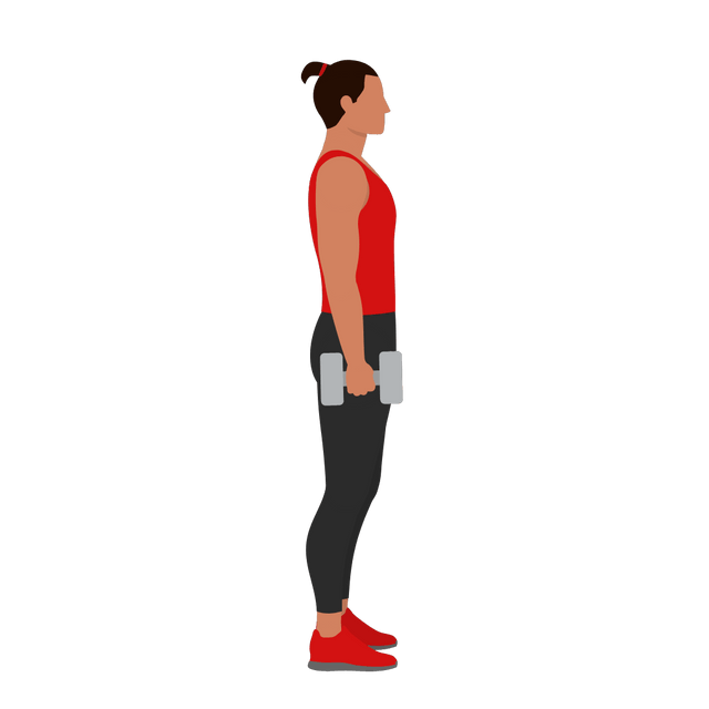Alternating Dumbbell Hammer Curl Exercise for Biceps
