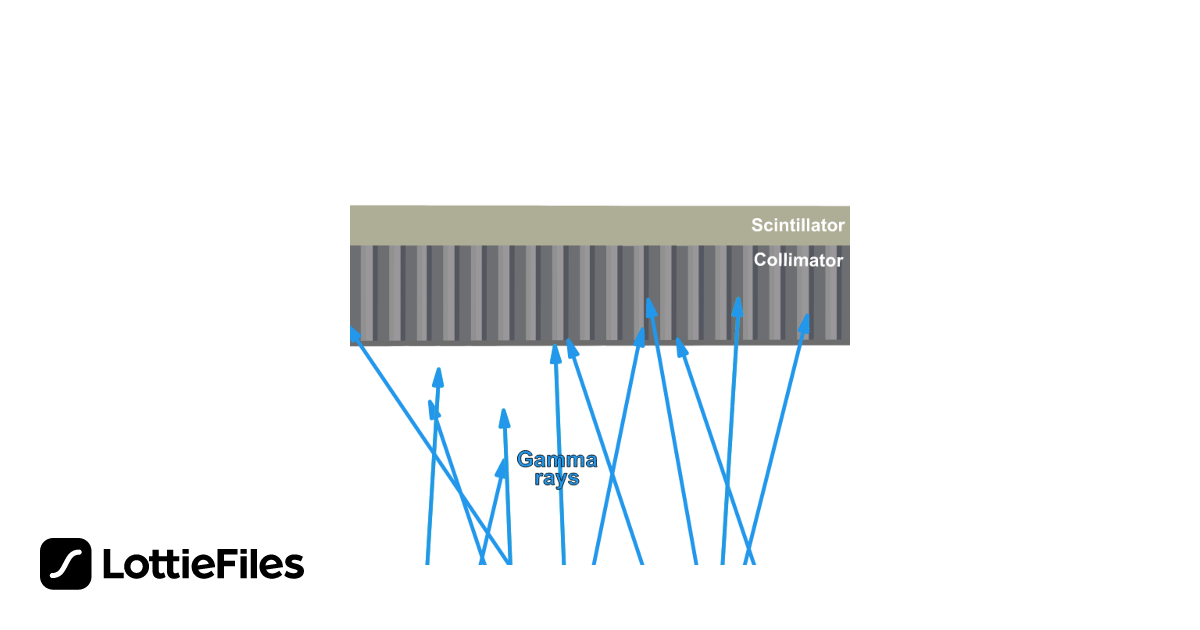 Free Collimator and scintillator Gamma camera Animation by Joana