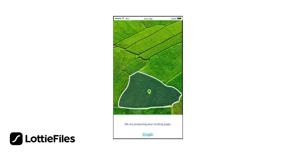 Free Plotanimation2 Animation By Suhas Saurav Lottiefiles