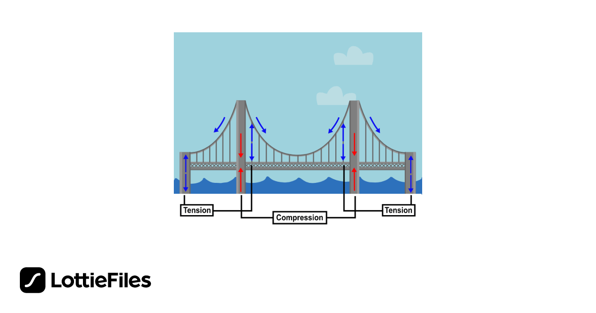 Suspension bridge explanation by Joana Barreira LottieFiles
