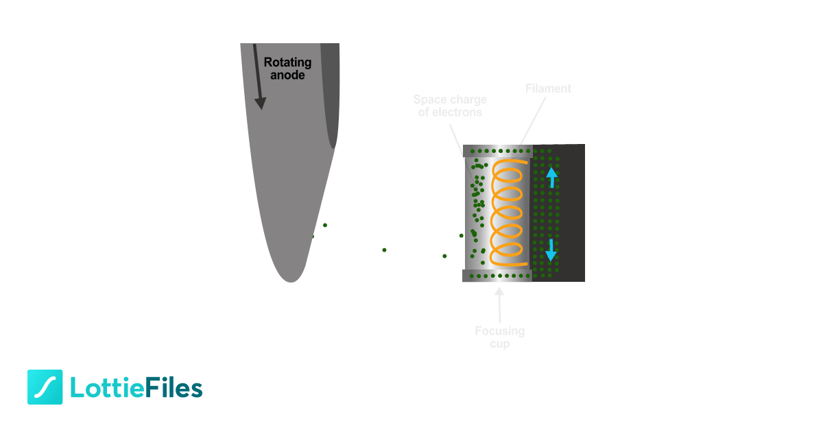 Xray exposure Space charge and focusing cup by Joana Barreira