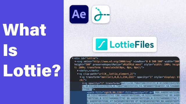 Lottie, The What, Why, and How