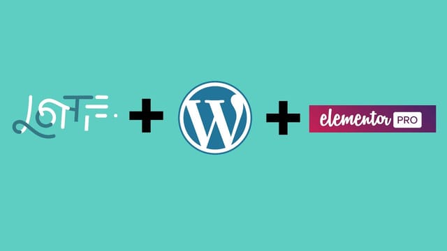 How to add Lottie animation to WordPress website using Elementor Pro